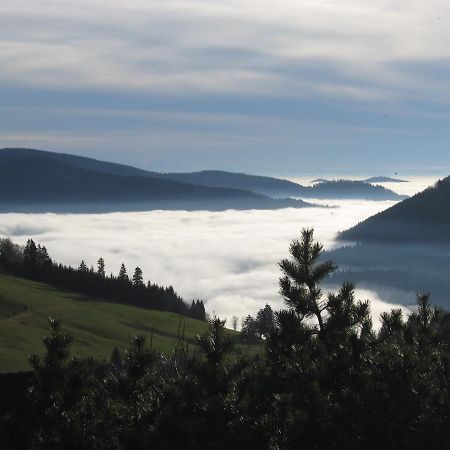 Schoene Aussicht Todtnau Exterior foto