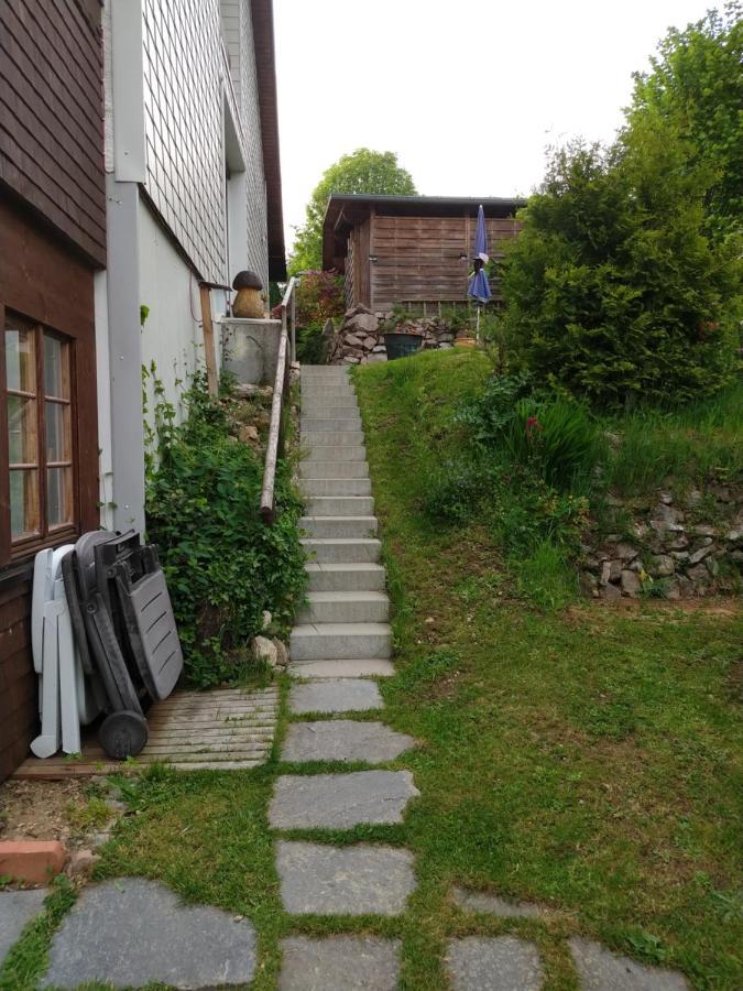 Schoene Aussicht Todtnau Exterior foto