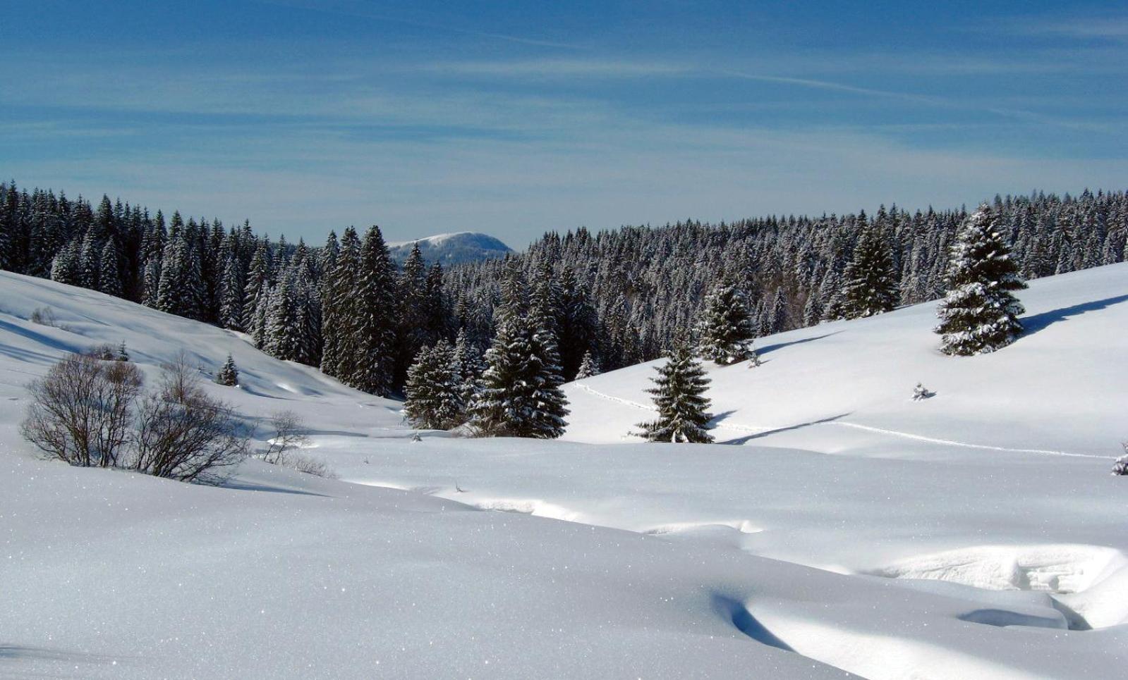 Schoene Aussicht Todtnau Exterior foto